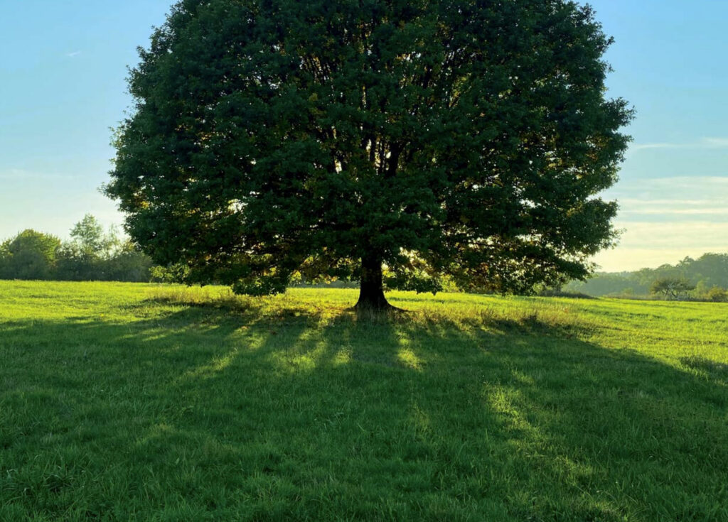 Cover veranstaltungen 2025