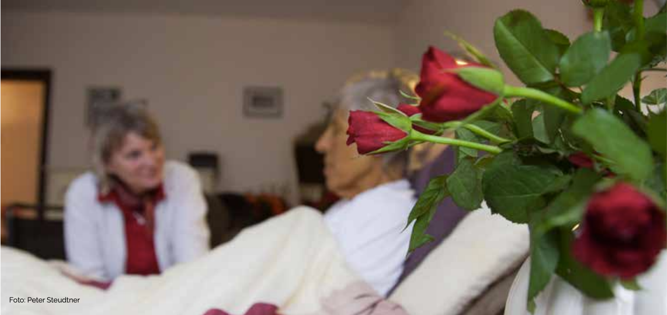 Vorschaubild wie unser netzwerk die palliativversorgung befördert hat